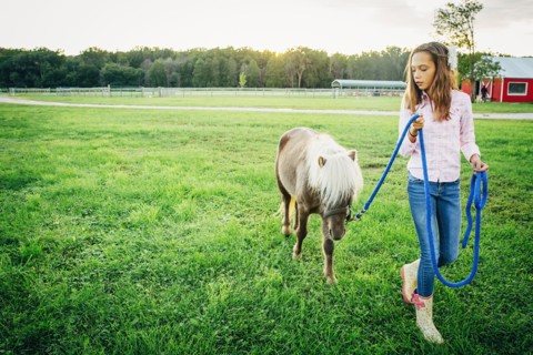 Caucasian girl walking miniature horse on farm