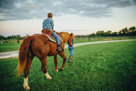 Caucasian mother and son walking horse on ranch