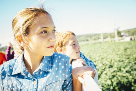 Close up of Caucasian brother and sister admiring farm