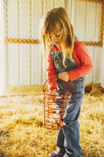 Caucasian girl collecting eggs in barn