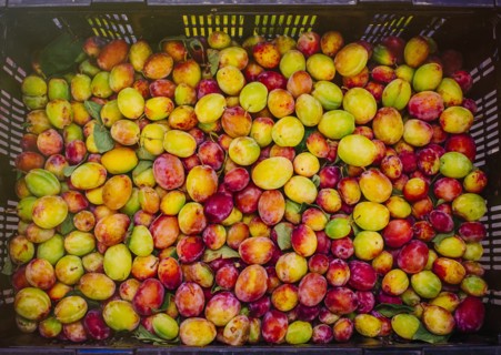 Close up of crate of fresh fruit
