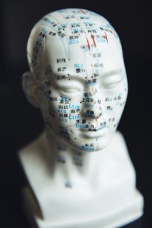 Close up of carved bust with acupuncture diagram