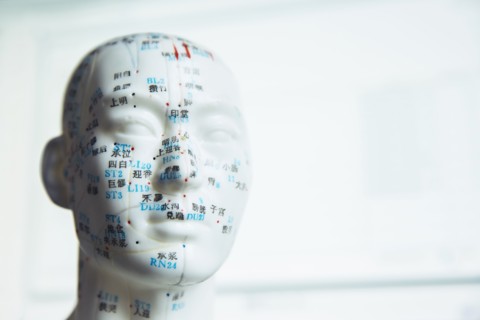 Close up of carved bust with acupuncture diagram