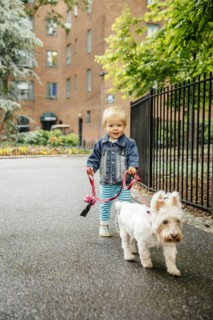 Mixed race boy walking dog on city sidewalk