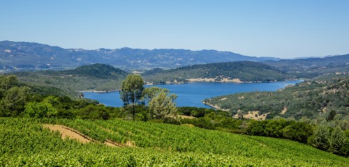 Vineyards on hillside in rural landscape