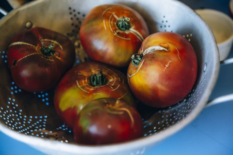 Close up of fresh tomatoes in colander