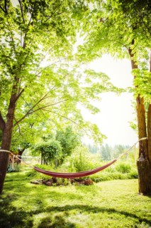 Hammock between trees in backyard