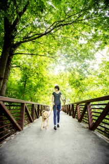 Caucasian woman walking dog on bridge