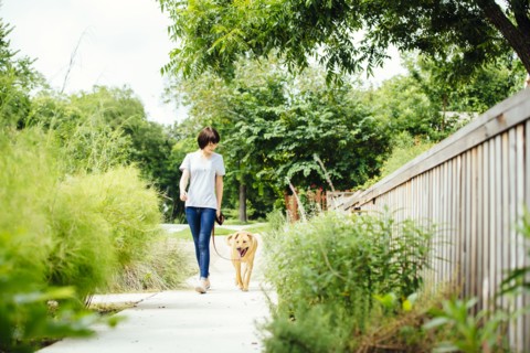 Caucasian woman walking dog in park
