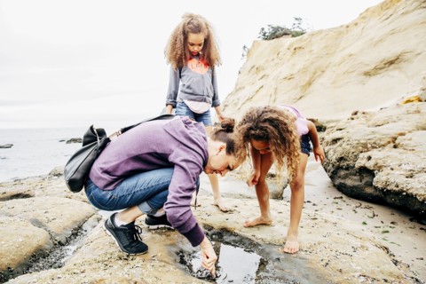 Mother and daughters examining tide pools on beach