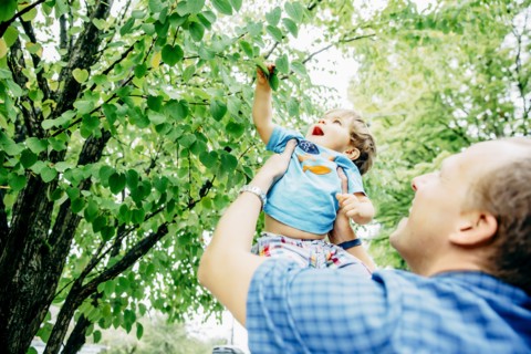 Father lifting baby son to tree