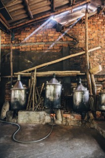 Ovens under skylight in studio