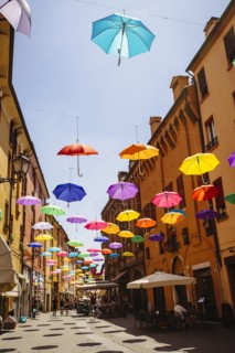 Multicolor umbrellas hanging over street