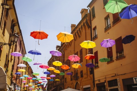 Multicolor umbrellas hanging outdoors