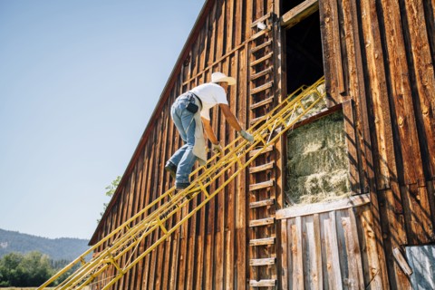 Caucasian farmer climbing ladder to barn