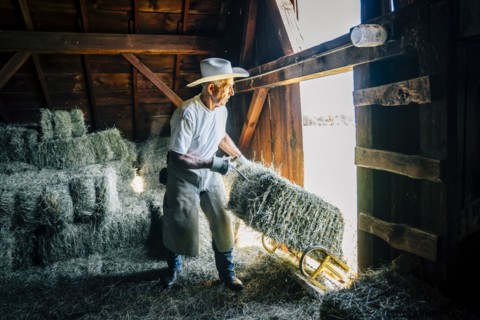 Caucasian farmer in barn pulling bale of hay