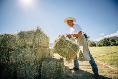 Caucasian farmer lifting bale of hay