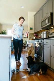 Woman training dogs in domestic kitchen