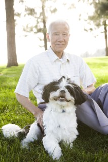 Senior Chinese man sitting in grass with Shih Tzu dog