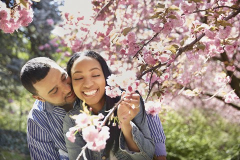Couple admiring flowering tree in park