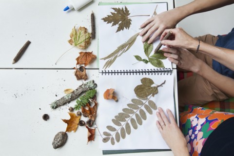 Hands of Caucasian mother and son with nature scrapbook outdoors