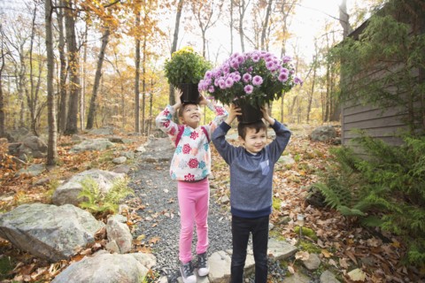 Mixed Race brother and sister balancing flowers on heads