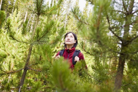Japanese woman hiking in forest