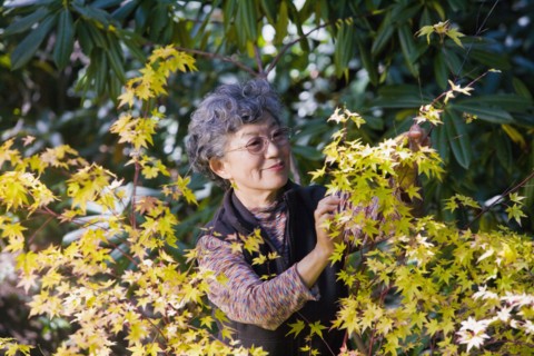 Senior Japanese woman gardening