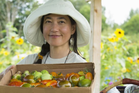 Japanese farmer harvesting produce on farm
