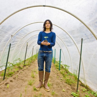 Japanese gardener holding potted plant in greenhouse