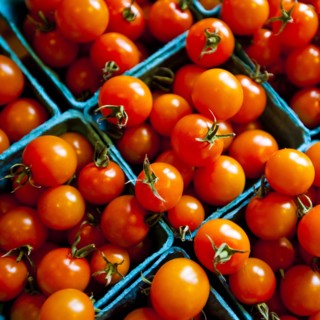 Close up of baskets of tomatoes
