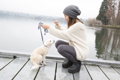 Japanese woman walking dog near lake