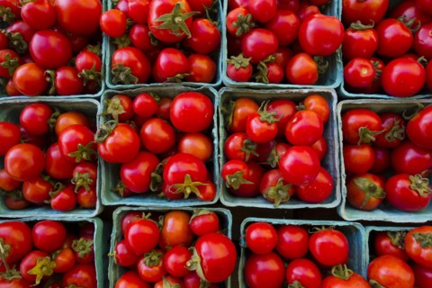 Containers of tomatoes