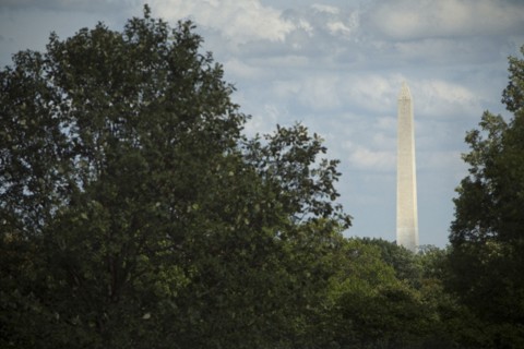 Monument overlooking treetops