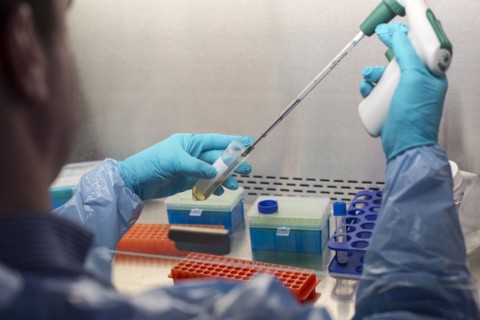 Mixed race scientist pipetting solution into test tubes in lab