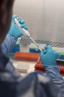Mixed race scientist pipetting solution into test tubes in lab
