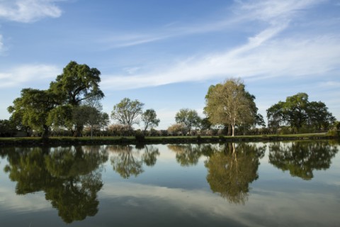 Trees under blue sky reflecting in still lake