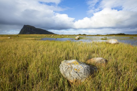 Rock formations in grassy coastline under blue sky