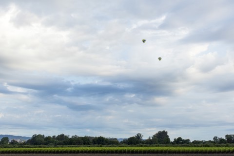 Hot air balloons flying over rural landscape