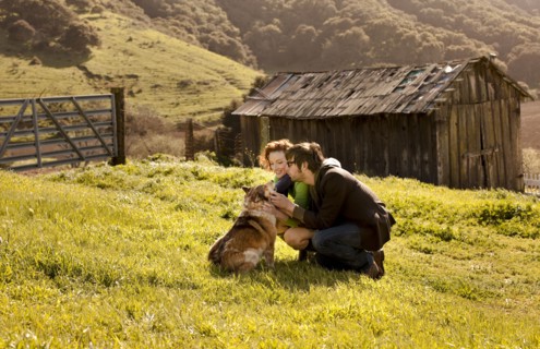 Couple petting dog in rural landscape