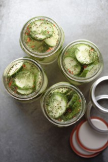 Jars of pickled cucumbers