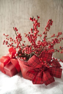Bouquet of red berries decorated for Christmas