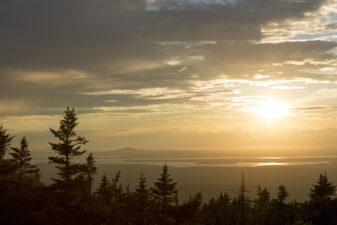 Sunrise over treetops in remote landscape