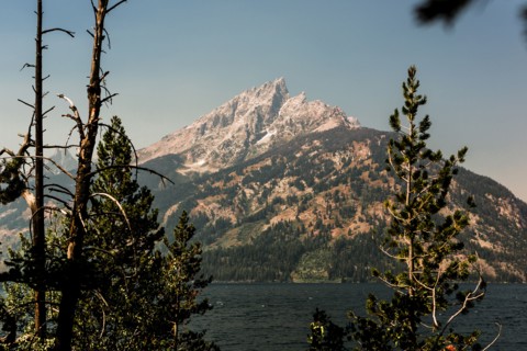 Treetops near lake and remote mountain