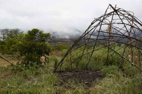 Wood teepee frame in organic farm field