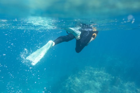 Caucasian woman snorkeling in tropical ocean