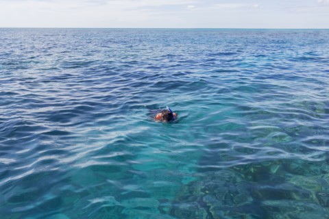Caucasian woman snorkeling in ocean