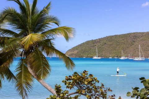 Caucasian tourist using paddle board in tropical ocean