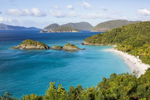 Lush hillsides near tropical ocean