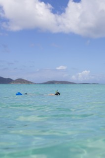 Caucasian man snorkeling in tropical ocean